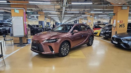 2024 LEXUS RX