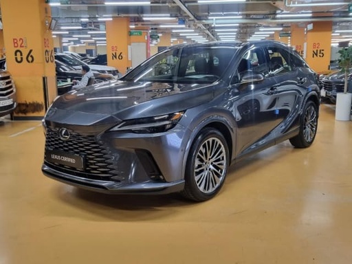 2024 LEXUS RX