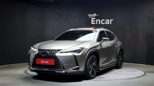 2019 LEXUS UX