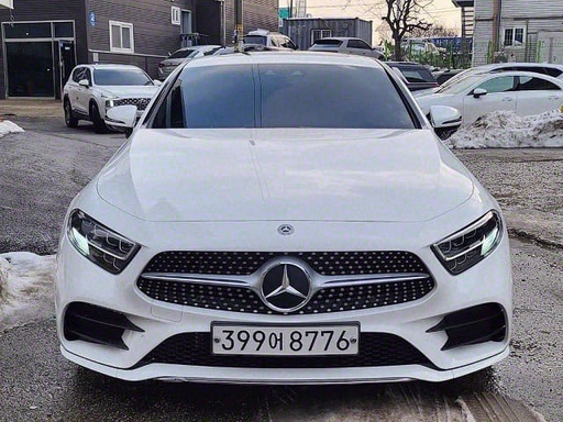 2019 MERCEDES-BENZ Cls-Class