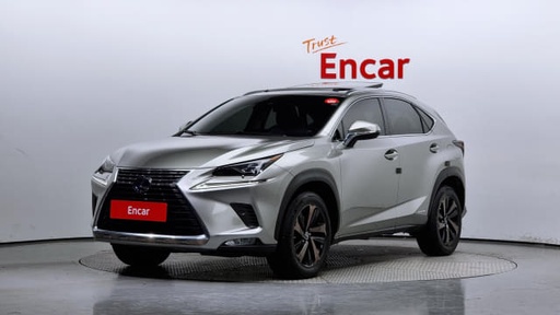 2020 LEXUS NX