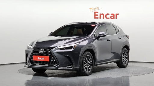 2024 LEXUS NX