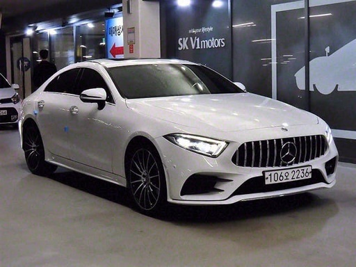 2019 MERCEDES-BENZ Cls-Class