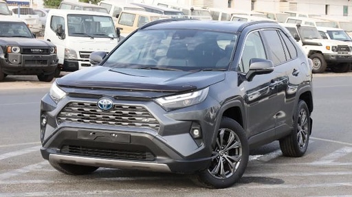 2022 TOYOTA RAV4