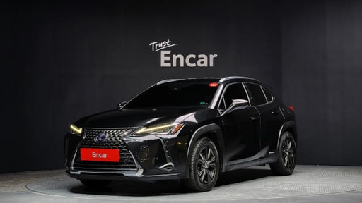 2019 LEXUS UX