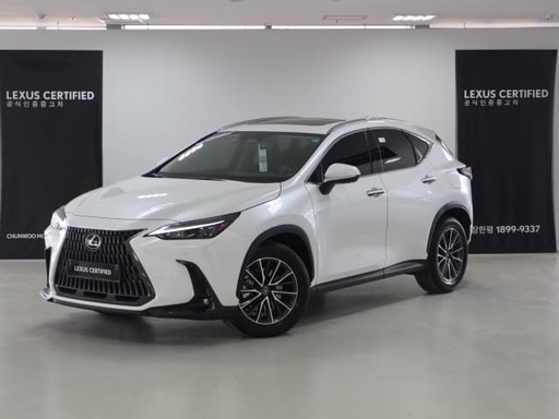 2025 LEXUS NX