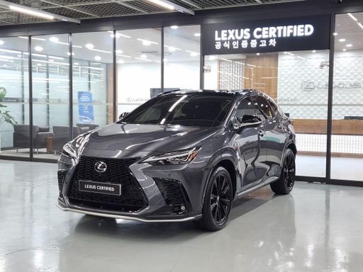 2025 LEXUS NX