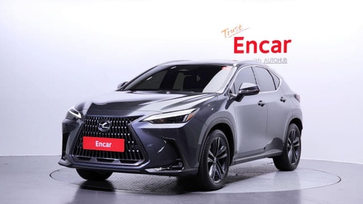 2025 LEXUS NX