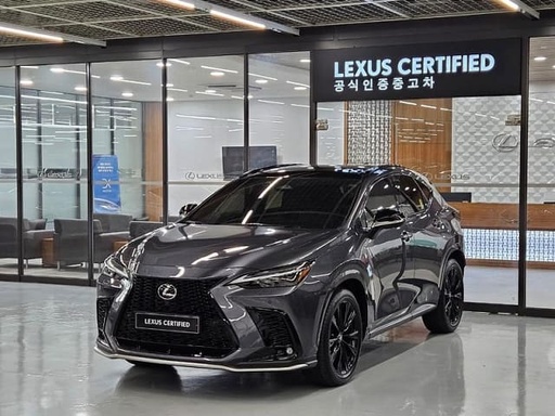 2025 LEXUS NX