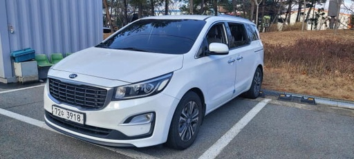 2019 KIA Carnival