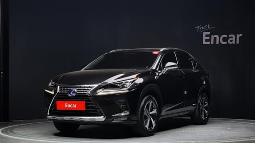 2018 LEXUS NX