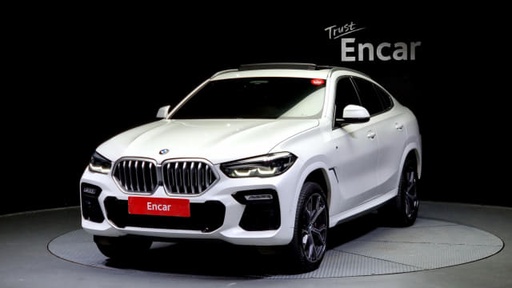 2020 BMW X6