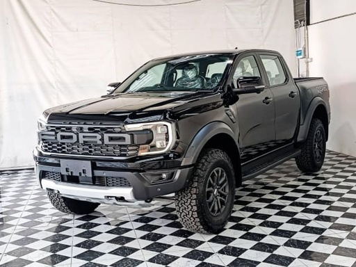 2025 FORD RAPTOR