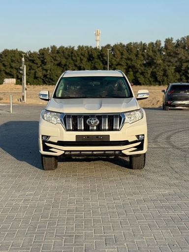 2019 TOYOTA Land Cruiser Prado