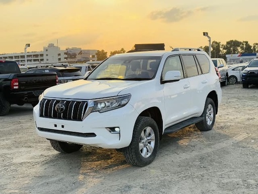 2019 TOYOTA Prado
