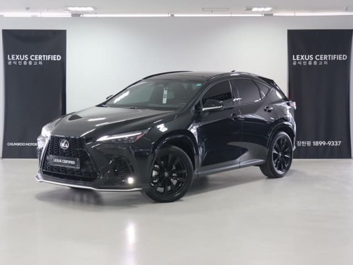 2025 LEXUS NX