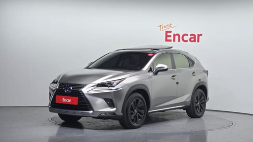 2018 LEXUS NX