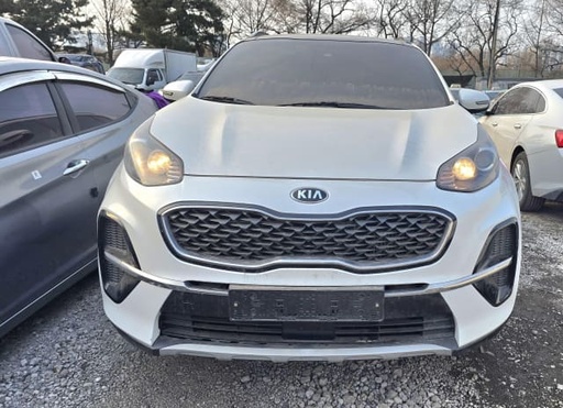 2019 KIA Sportage the Bold