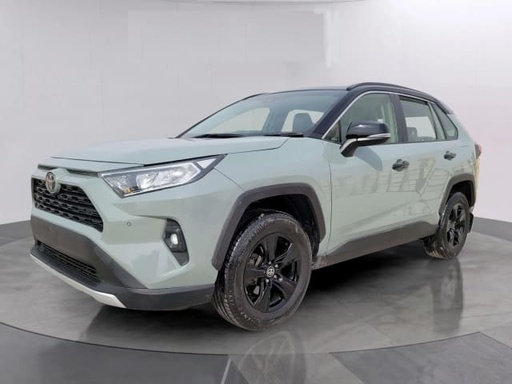 2022 TOYOTA RAV4
